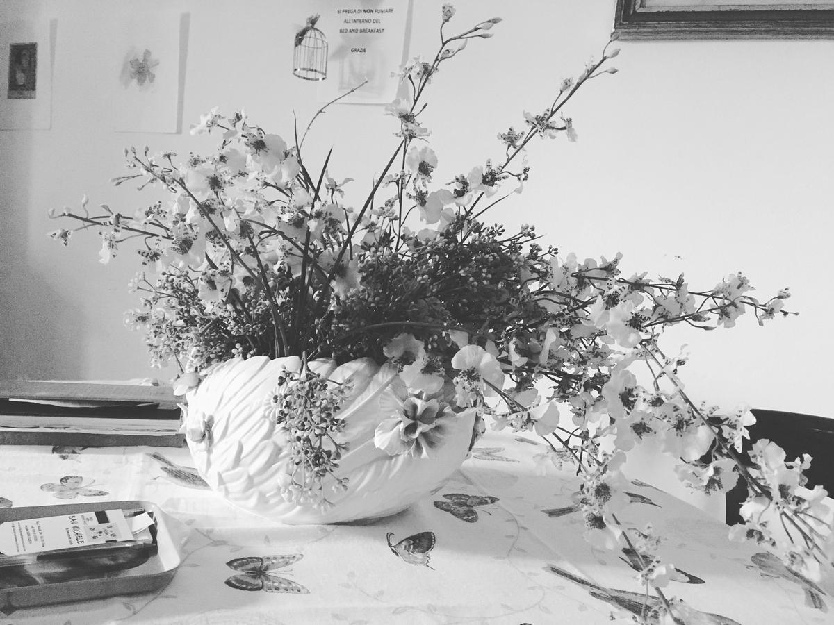 Bed And Breakfast San Michele Πίζα Εξωτερικό φωτογραφία